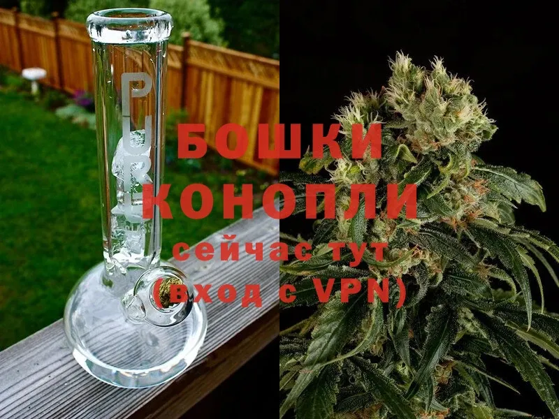 Конопля Ganja  Партизанск 